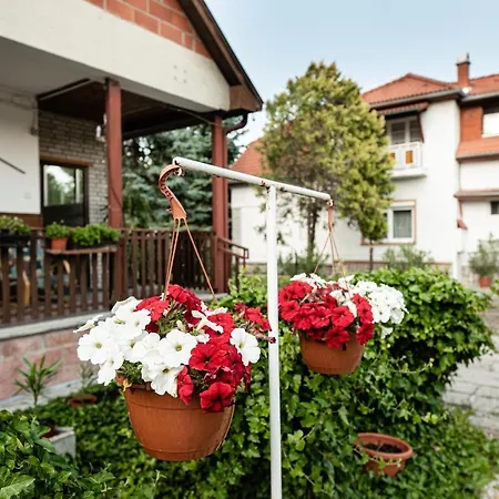 Apartment Vadkacsa Apartmanhaz Medencevel
