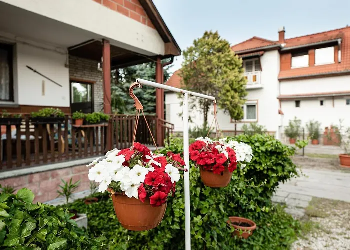 Apartment Vadkacsa Apartmanhaz Medencevel