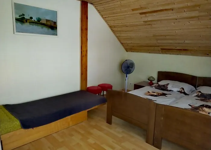 Apartment Vadkacsa Apartmanhaz Medencevel Zamardi